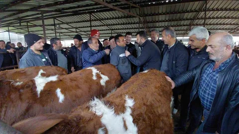 Bolu'da Kurban Pazarı Hareketliliği Başladı