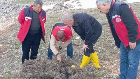 Süne Mücadelesi Adıyaman'da Yapıldı