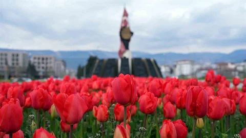 Kahramanmaraş'ta Renkli Kavşaklar