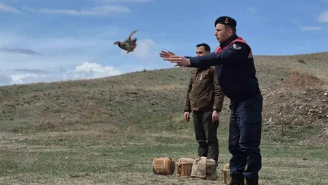 Kars'ta Kaçak Avcılara Operasyon Yapıldı