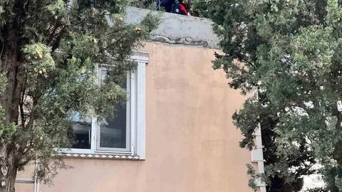 Hatay'da Ağaçta Mahsur Kalan Kedi Kurtarıldı