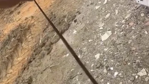 Diyarbakır'da Kış Uykusundaki Yılanlar Uyandı