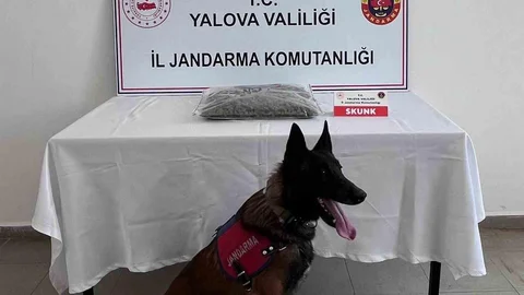 Yalova'da Uyuşturucu Operasyonu Gerçekleşti