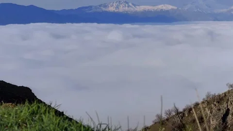 Bir mahallede sis manzarası oluştu