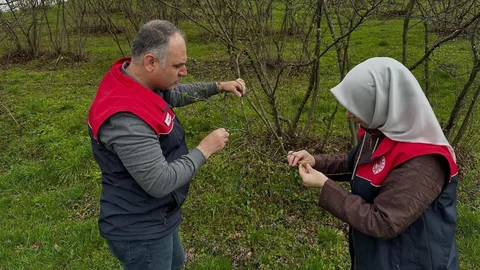 Düzce'de Fındık Üreticilerine Uyarı