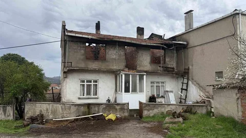 Çanakkale'de Baca Yangını