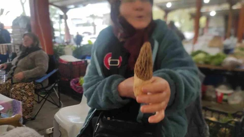 Çanakkale Dağ Köylerinde Kuzugöbeği Geliri