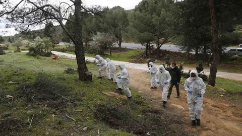 Muğla'da Terminatör Böcekler Faaliyette