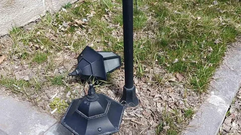 Kars'ta Valilik Parkı'nda Tahribat Yaşandı