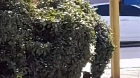 Eskişehir'de Çocuklar Parkta Sigara İçti