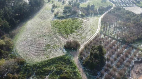Mersin'de Dolu Yağışı Etkili Oldu