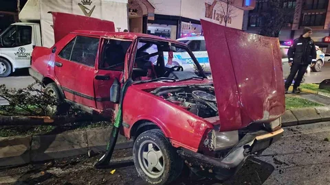 Samsun'da Ağaç Devrildi Kazada 1 Yaralı