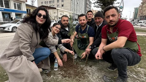 Yüksekovalı Kadın Fidan Dikti