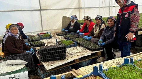 Erzincan'da Fide Denetimi Devam Ediyor