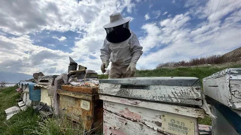 Elazığ'da Arıcılar Yavru Dönemine Girdi
