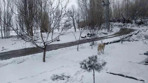 Iğdır'da Nisan Yağışı ve Kar