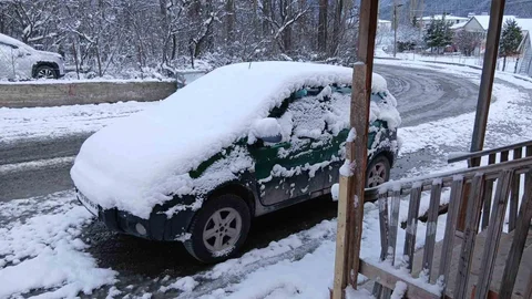 Posof'ta Yoğun Kar Yağışı Yaşandı