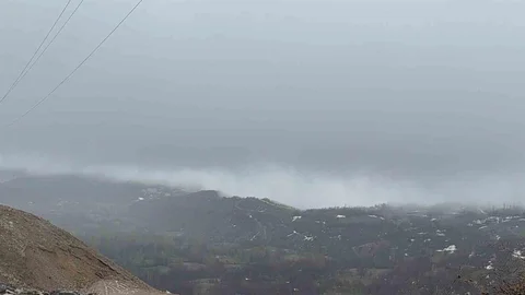 Hizan'da Yoğun Sis Etkili Oldu