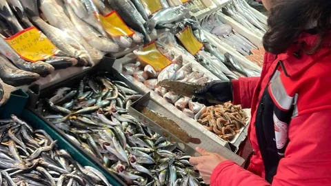 Tekirdağ’da Su Ürünleri Denetimi Devam Ediyor