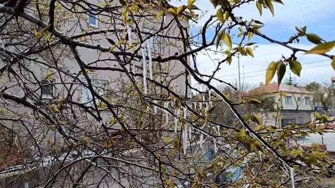 Yozgat'ta Çiftçilere Don Uyarısı