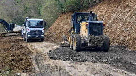 Türkeli'de Heyelan Sonrası Yol Düzenlendi