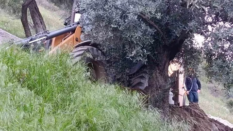 Nazilli'de Kaçak Kazıda Göçük