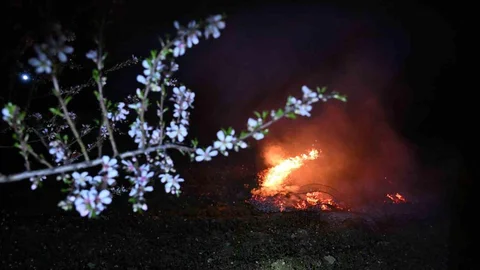 Manisa'da Don Nöbeti Başladı