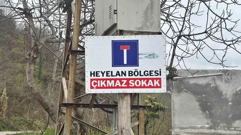 Konteyner Desteği Trabzon'da Sağlandı
