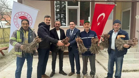 Emet'te Üzüm Fidanı Dağıtımı Yapıldı