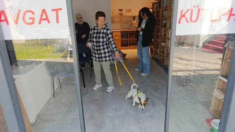 Ukraynalı Kadın Antalya'da Köpek Saldırısı Geçirdi