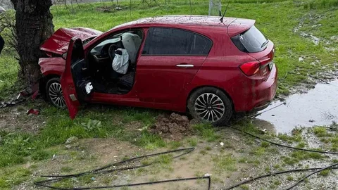 Siirt'te Ağaca Çarpan Araç Kazası