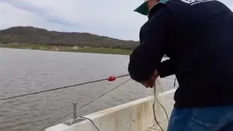 Kırklareli'nde Yasa Dışı Avcılığa Son Verildi