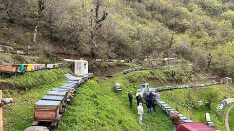 Artvin'de Apiturizm Fırsatları Gelişiyor