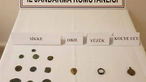 Bozdoğan'da Tarihi Eser Operasyonu