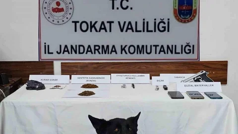 Tokat'ta Uyuşturucu Operasyonu Yapıldı