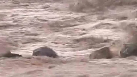 Siverek'te Sağanak Yağış Sele Neden Oldu