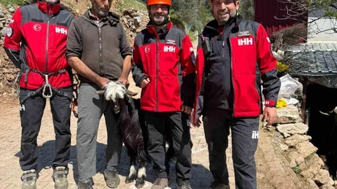 Antalya'da Mahsur Kalan Keçiler Kurtarıldı