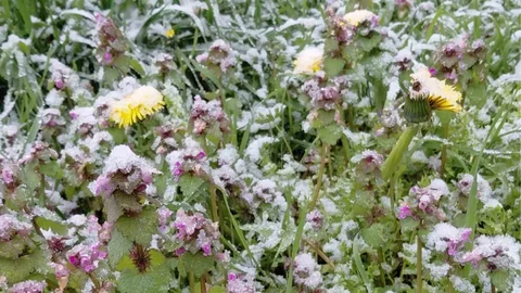 Bolu'da Bahar Kar Manzarası