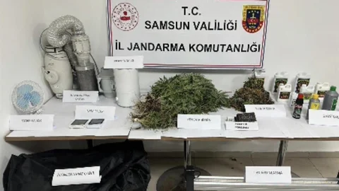 Samsun'da Kenevir Operasyonu Yapıldı
