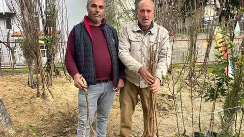 Buldan’da Fidan Dikim Sezonu Başladı