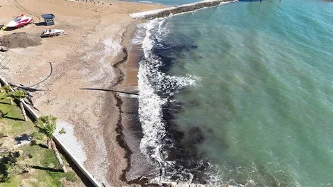Alanya'da Sahildeki Siyah Tabaka Açıklığa Kavuştu