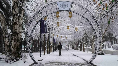 Erzurum'da Kar Yağışı Etkili Oldu