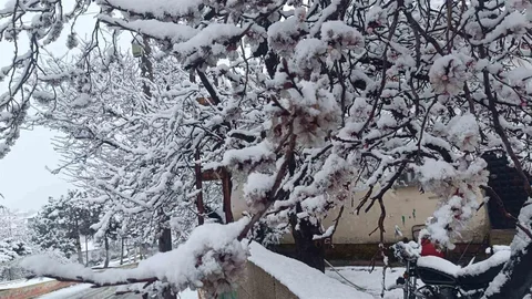Yozgat'ta Kar Yağışı Görsel Şölen Yarattı