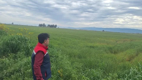 Söke'de Hububat Arazi Denetimi Yapıldı