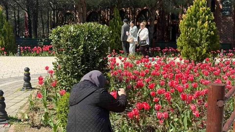 İstanbul'da Lale Mevsimi Başladı