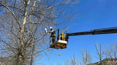 Esenyurt'ta Park Yenileme Çalışmaları