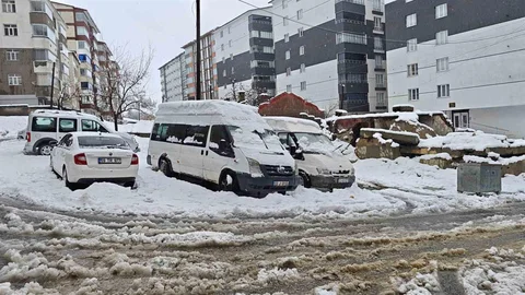 Bitlis'te Kar Yağışı Etkili Oldu