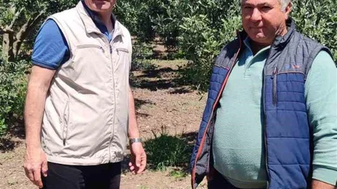 Didim'de Zeytin Üreticilerine Uyarı