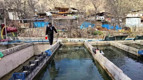 Erzurum'da Balık Tesisinde Kriz Yaşanıyor