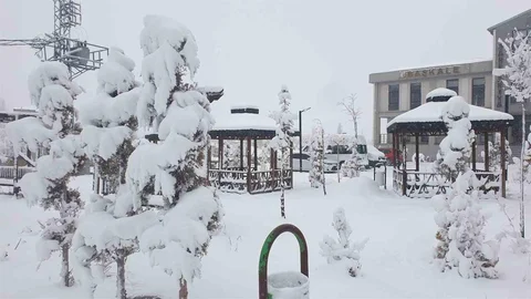 Başkale'de Kar Yağışı Etkili Oldu